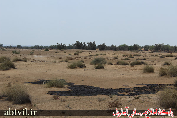 تخلیه فاضلاب انسانی اطراف آبطویل موجب نارضایتی مردم شد تخلیه فاضلاب انسانی اطراف آبطویل موجب نارضایتی مردم شد