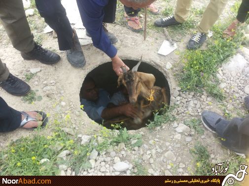 نجات حیوان گرفتار در لوله فاضلاب شهری ممسنی