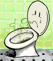 از بین بردن بوی بد توالت فرنگی